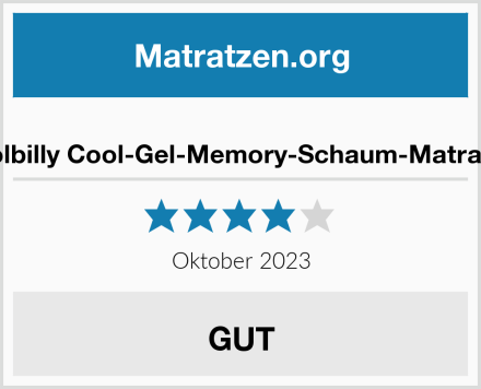  Molbilly Cool-Gel-Memory-Schaum-Matratze Test
