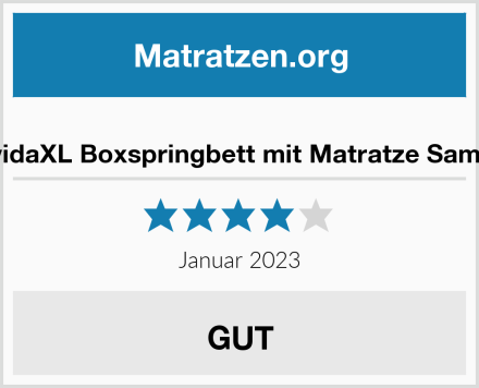  vidaXL Boxspringbett mit Matratze Samt Test