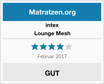 intex Lounge Mesh Test