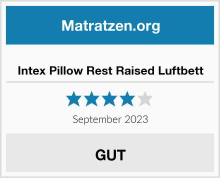  Intex Pillow Rest Raised Luftbett Test