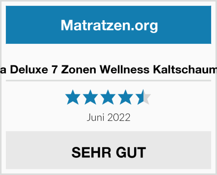  MSS Aqua Deluxe 7 Zonen Wellness Kaltschaummatratze Test